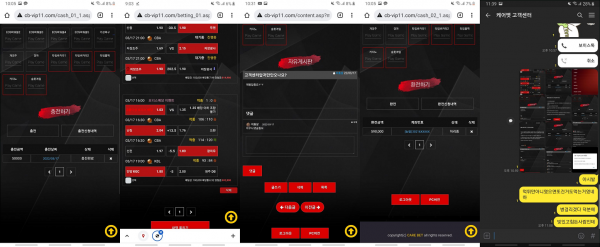 먹튀사이트 정보 [ 케어벳 CAREBET ]