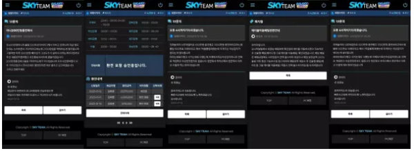 먹튀사이트 정보 [ 스카이팀 SKY TEAM ]