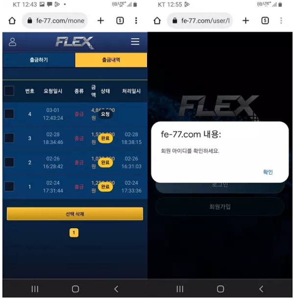 먹튀사이트 정보 [ 플렉스 FLEX ]