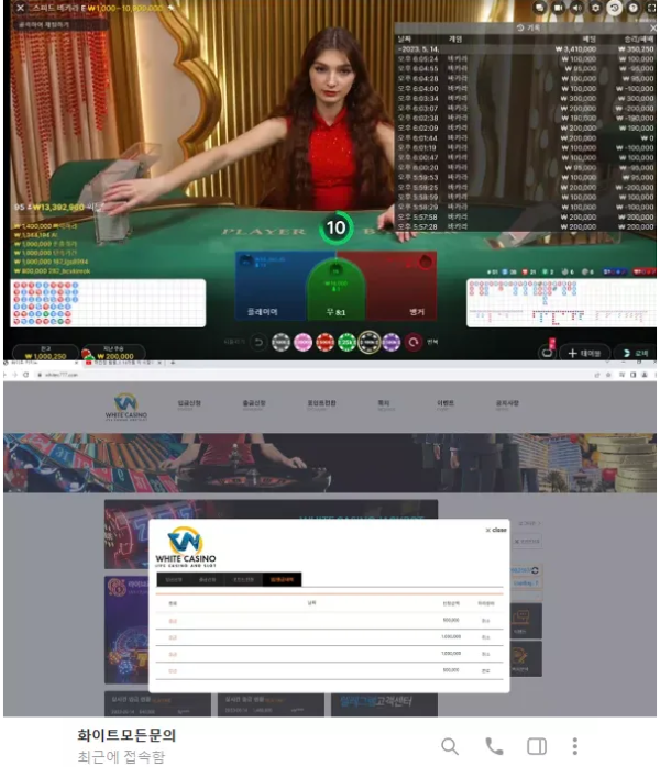 먹튀사이트 정보 [ 화이트카지노 WHITE CASINO ]