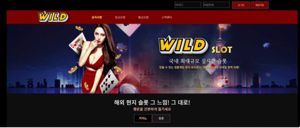 토토사이트 정보 [ 와일드 WILD ]