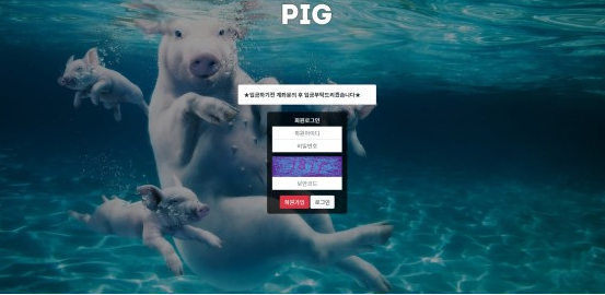 토토사이트 정보 [ 피그 PIG ]