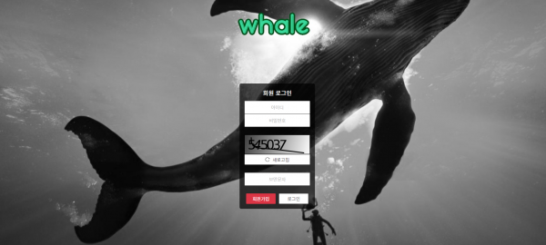 토토사이트 정보 [ 고래 WHALE ]