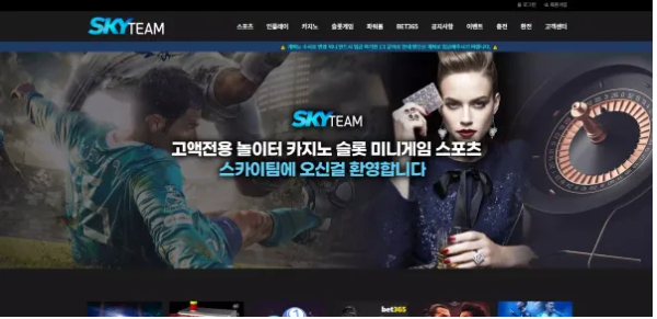 먹튀사이트 정보 [ 스카이팀 SKY TEAM ]