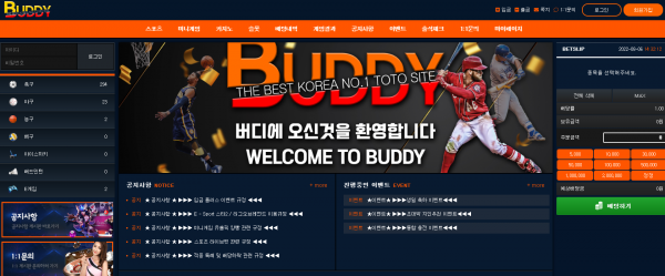 먹튀사이트 정보 [ 버디 BUDDY ]