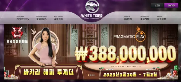 먹튀사이트 정보 [ 백호카지노 WHITE TIGER ]